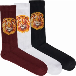 GS Store Galatasaray Erkek 3`lü Havlu Set Çorap E221519