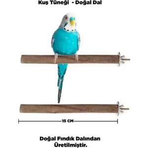 Doğal Ahşap Kuş Tüneği 15 cm - Gerçek Fındık Dalı