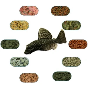 Fsfpetmarket Cüce Vatoz Yem Paketi (L144-SÜPER RED-LDA16 Vb.) 100 Gr/ad (5 Çeşit)