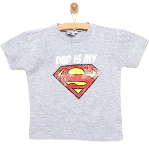 Dc Comıcs Superman Tshirt Erkek Bebek