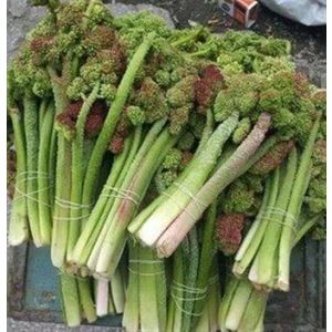 OVACIK IŞKIN (2 KG)