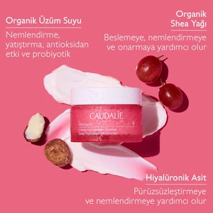 VinoHydra Yoğun Nemlendirici ve Aydınlatıcı Krem 50 ml – Doğal İçerikli, Kuru ve Hassas Ciltler İçin