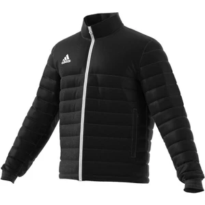Adidas Erkek Mont ENT22 Ljkt IB6070