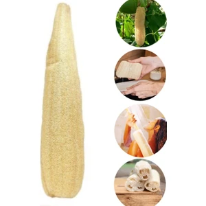 Çapa Fıstık Kabak Lifi Doğal (55-60 Cm)