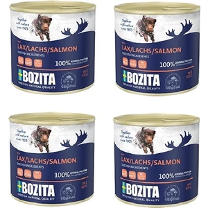 Tahılısz Somon Balıklı Köpek Konservesi 625 gr. x 4 Adet