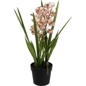 Mikasa Moor P282.356552 Pembe Yapay Simbidyum Orkide 58CM