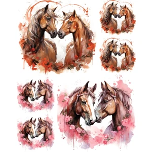 My Hobby Sulu Transfer LNT-242 25X35 cm