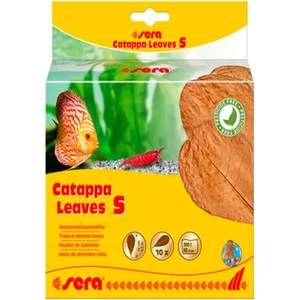 Catappa Yaprağı S 14 Cm 10lu Paket