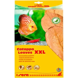Catappa Yaprağı XXL 32 Cm