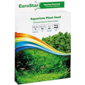Eurostar Bitki Tohumu Glossostigma Elatinoides
