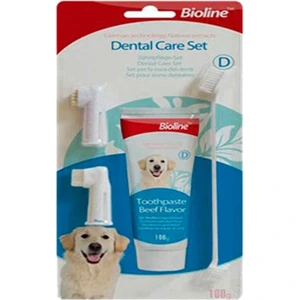 Dental Diş Bakım Seti