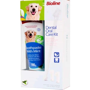 Nane Aromalı Ağız Diş Bakım Seti 100 Gr