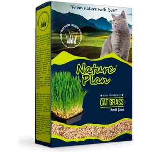 Nature Plan Kedi Çimi