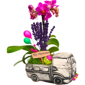 Çiçek Seli Pickup Mini Mor Orkide Kamyon Beton Saksıda Orkide Çiçeği Yol Arkadaşım Tabelalı Hediye Çiçek