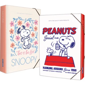 Snoopy 25 x 35 cm Kutu Klasör 3-7312000-2081