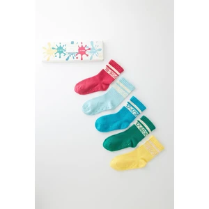 Katia & Bony  Bebek 5'li Pantone Renkli Kutulu Soket Çorap
