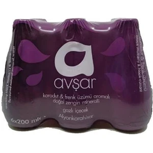 Karadut & Frenk Üzüm Aromalı Maden Suyu 6X200 ml.