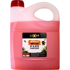 Kimya Mango Kavun Oda ve Oto Kokusu 3 Litre