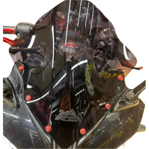 Rellax Bajaj Pulsar Rs 200 Spor Cam  Füme  Işlemeli