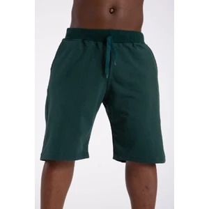 Erkek Pamuklu Penye Şort Regular Fit Şort Yeşil SRT01
