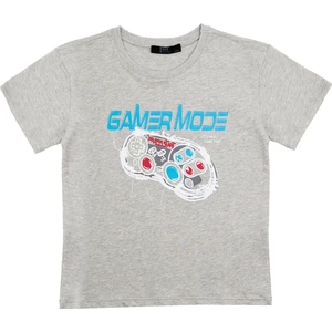 Erkek Çocuk Gri Melanj Tshirt - Logan