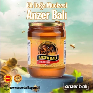 Ss Anzer Balı Kooperatifi Anzer Balı