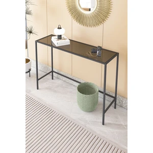 Canvas Metal Dresuar Dekoratif Kahve Köşesi Konsol Siyah Füme Camlı