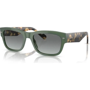 Vo 5530S 309211 55 Vogue Erkek Güneş Gözlüğü