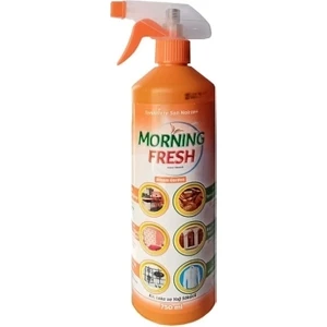 Morning Fresh Turuncu Temizlik Kir Leke ve Yağ Sökücü 2 x 750 ml