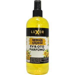 Luxor Kimya Nergis Ev ve Oto Kokusu 400 ml