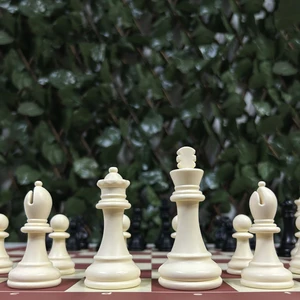 Yeni Satranç Profesyonel Satranç Taşları (92MM - 550GR - Çift Vezirli)
