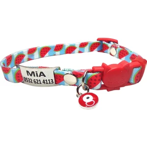 Ayz Markalama Güvenlik Kilitli Isimli Kedi Tasması, Sallanmayan Isimlik, Kedi Künyesi, Kedi Isimlik, Safety Click