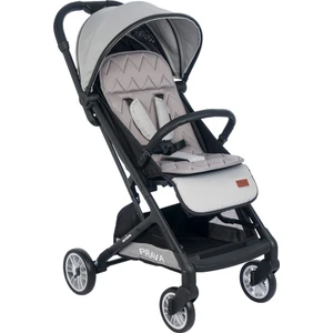 Avion Cabin Tipi Bebek Arabası