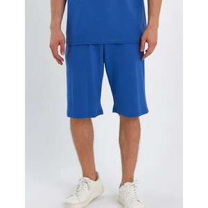 Alexander Gardi Alexandergardı Beli Lastikli Şort (E23-0060)