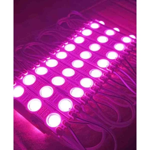 Pembe Renk Modül LED