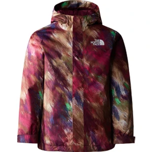 The North Face Erkek Çocuk Kayak Montu NF0A8554OME1 Teen Snowquest Jacket