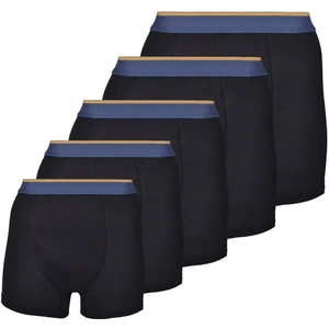 Paşateks Since 1995 5'li Pamuklu Erkek Boxer-L BEDEN