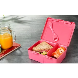 Çetiner Group Beslenme Kutusu Lunch Box 1 Adet ROYALEKS-G499