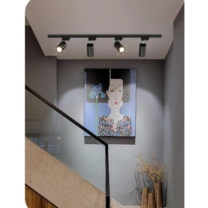 Demet Habek My Lights Mylights  Siyah Dörtlü1mt Ray Spot Gun Isıgı Ampullu  Harekletli Ray Spot LED Spot LED Avize Panasonıc Ampullu