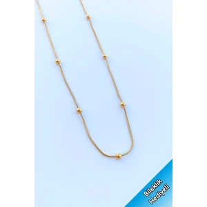 Trend Collection Kadın Paslanmaz Çelik Gold Dorika Zincir Ince Italyan Kadın Kolye