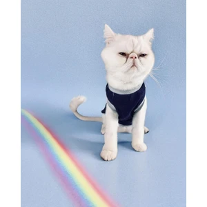 Navy Sports Atlet Kedi Kıyafeti Kedi Elbisesi