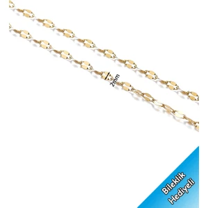 Trend Collection Kadın Paslanmaz Çelik Gold Klasik Zincir Ince Kadın Kolye