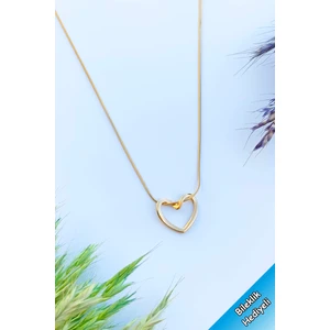 Trend Collection Kadın Paslanmaz Çelik Italyan Zincirli Düğüm Kalp Kolye (Sevgiliye Kolye)