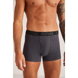 Future Pamuk Modal Biyeli Erkek Boxer