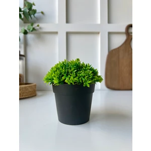 Dekoratif Yapay Bitki Masa | Ev | Ofis Dekoru