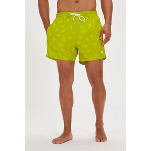Bad Bear Chameleon Suda Renk Değiştiren Yeşil Erkek Deniz Şortu
