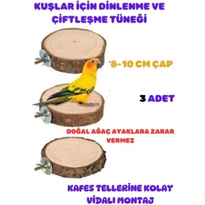Canlı Petshop Kuşlar Için Çiftleşme ve Dinlenme Tüneği Yuvarlak Vidalı Doğal Ahşap 3  Adet 8-10 cm Çap