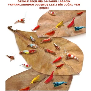 Canlı Petshop Karışık Yaprak Paketi (Doğal Karides Yemi) Kabuk Gelişimini Hızlandırır Üreme Artar Suyu Düzenler
