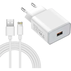 Hızlı Şarj Apple Ios iPhone Şarj Cihazı Aleti Lightining Kablo Adaptör 8 x Xr 11 12 13 14