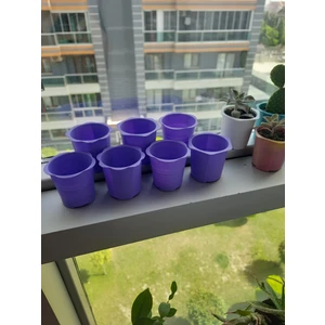 Kaktüs ve Sukulent Saksısı Tek Renk (50 Adet)